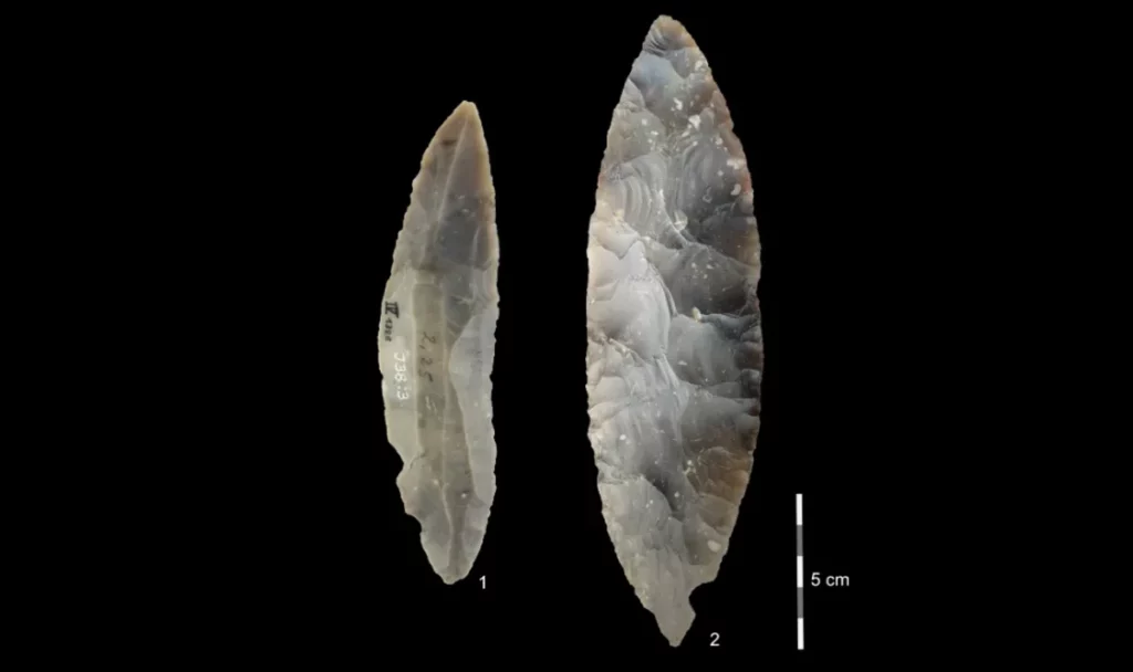 Stone tools from the LRJ at Ranis 1) partial bifacial blade point characteristic of the LRJ; 2) at Ranis the LRJ also contains finely made bifacial leaf points.
Credit: Josephine Schubert, Museum Burg Ranis