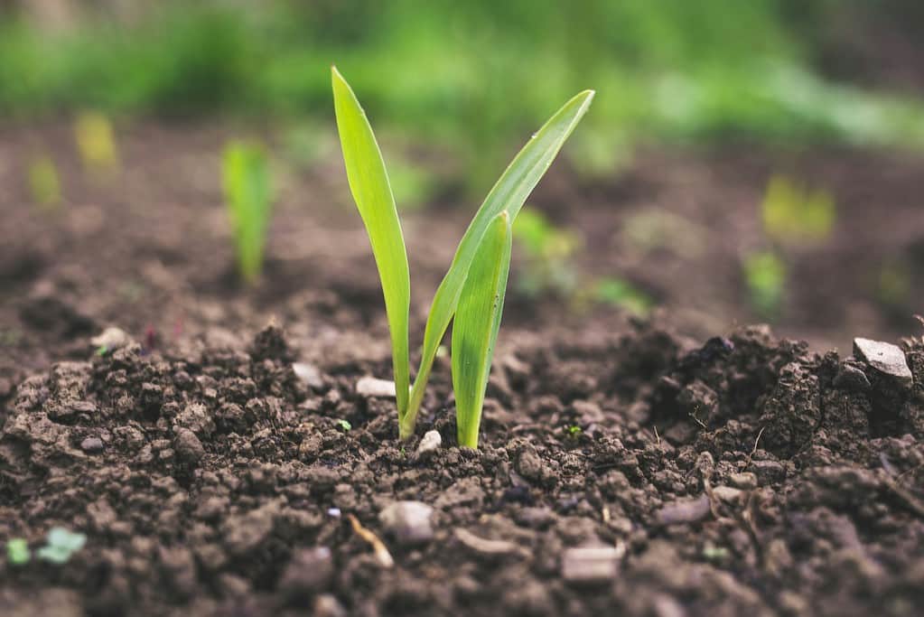 agriculture zme soil