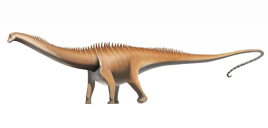 Artist's recreation of Diplodocus. Credit: Fred Wierum/Wikimedia Commons.
