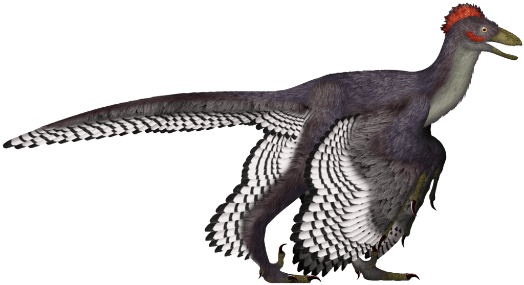 Artist's recreation of Anchiornis