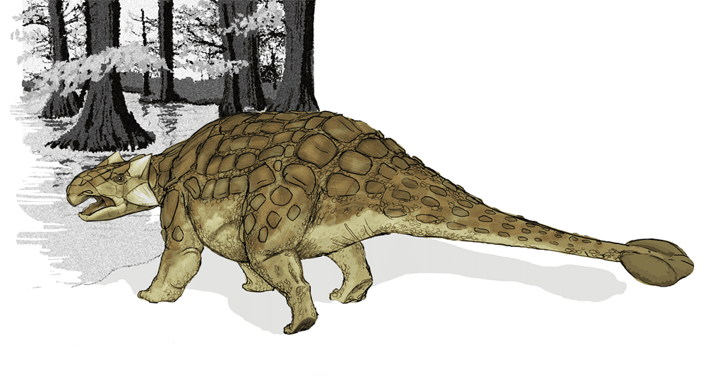 Ankylosaurus in a defensive stance