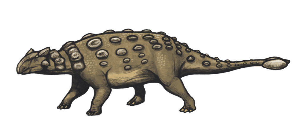Artist's recreation of Ankylosaurus, credit: Emily Willoughby/Wikimedia Commons