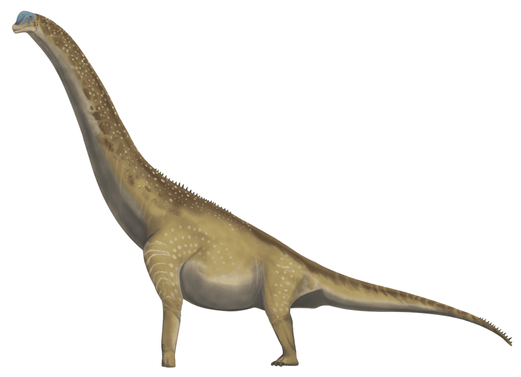 Artist's recreation of Brachiosaurus. Credit: Charles Nye/Wikimedia Commons.