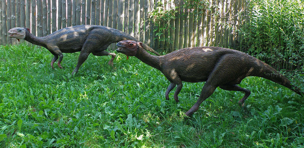 Dryosaurus reconstruction. Credit: Wikimedia Commons.