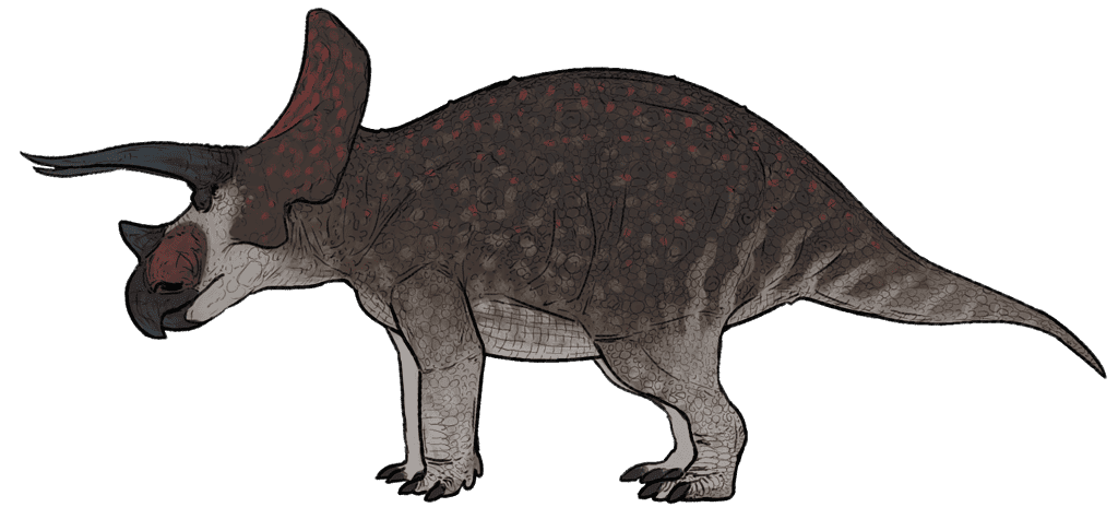 Artist's recreation of Triceratops. Credit: Connor Ashbridge/Wikimedia Commons