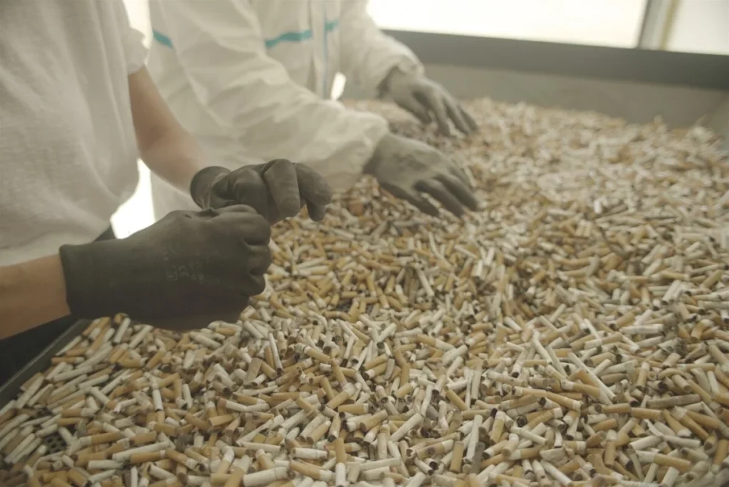 Processing of cigarette buds. Credit: OLO.
