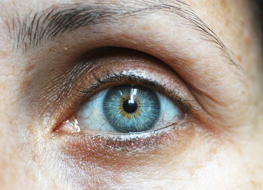 closeup woman's eye