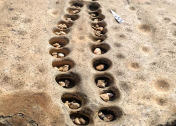 Ancient mancala board discovered in Kenya.