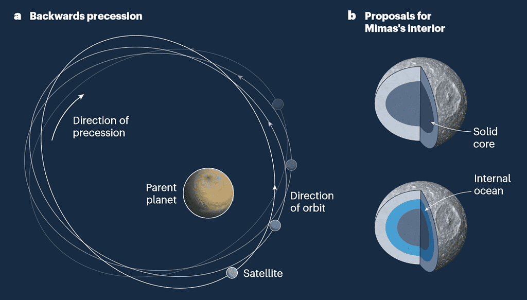 Proposed interiors for Mimas