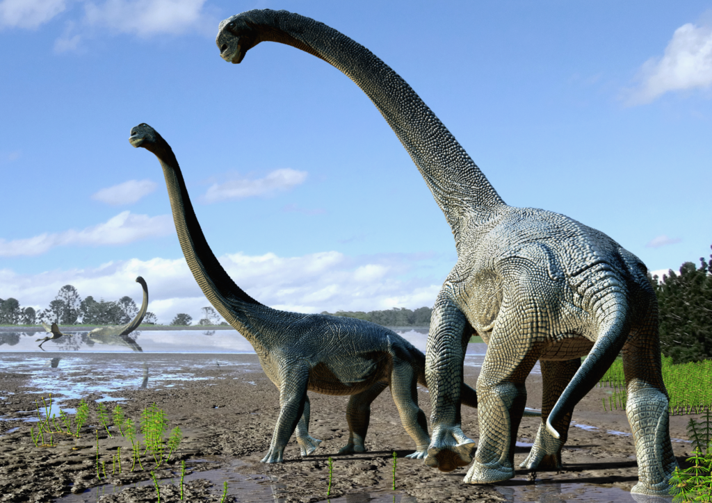 Vue d'artiste de ce à quoi aurait pu ressembler un savannasaurus eleutorum, une espèce de titanosaure découverte en 2016 en Australie. 