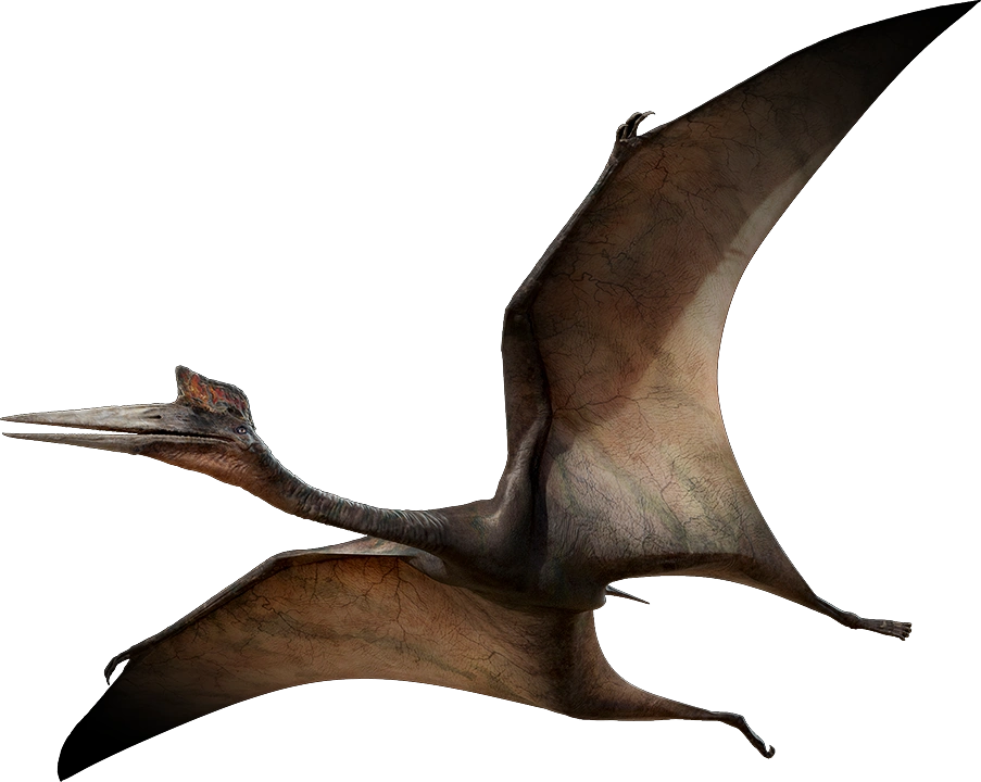 Quetzalcoatlus model from Walking with Dinosaurs