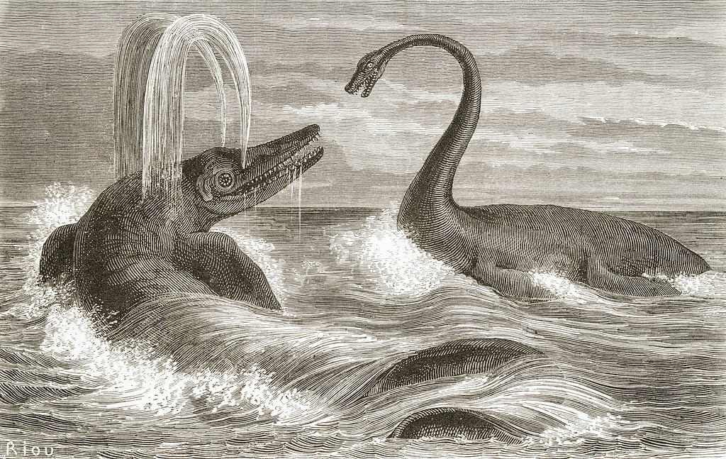 Early interpretation of Ichthyosaurus and Plesiosaurus