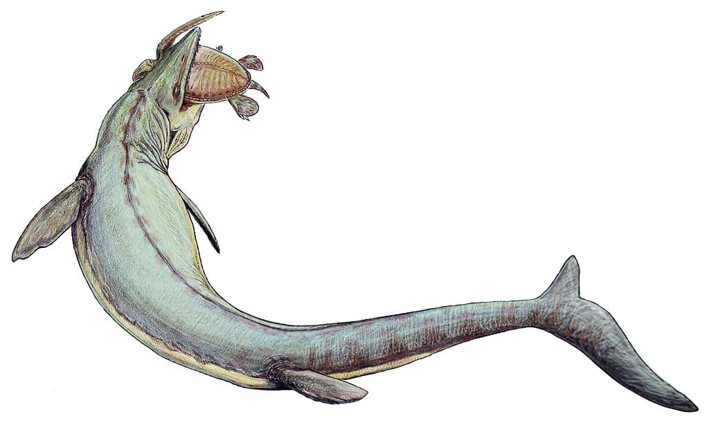 Artist's recreation of a hunting Mosasaurus