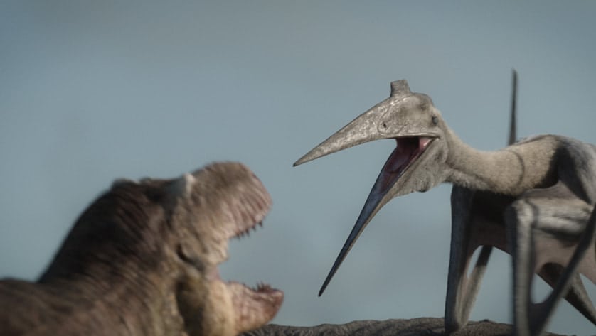 Two Quetzalcoatlus can be intimidating even for an adult Tyrannosaurus