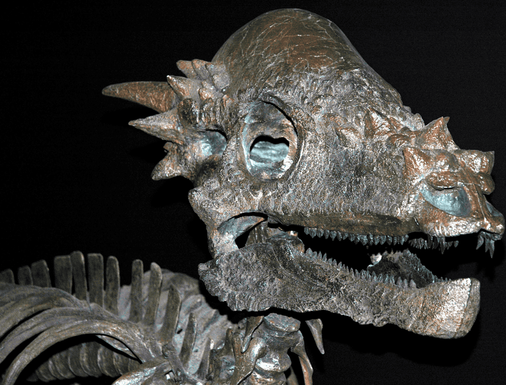 Pachycephalosaurus reconstruction at the Carnegie Museum of Natural History