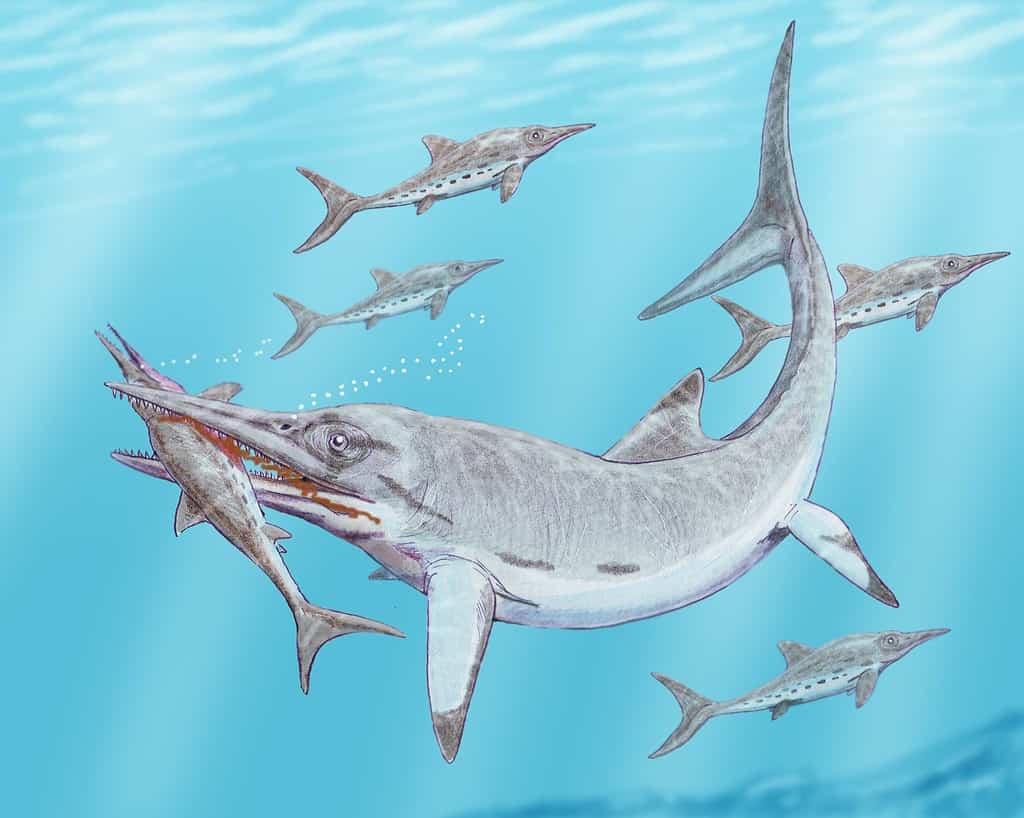 Temnodontosaurus preying on other ichthyosaurs