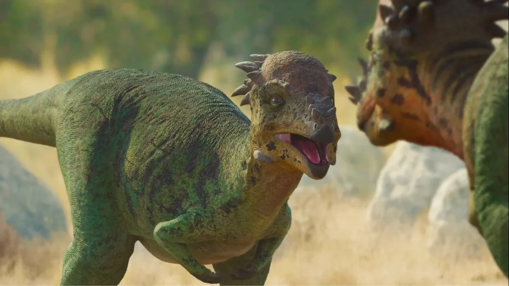 Younger Pachycephalosaurus challenging the older dominant male