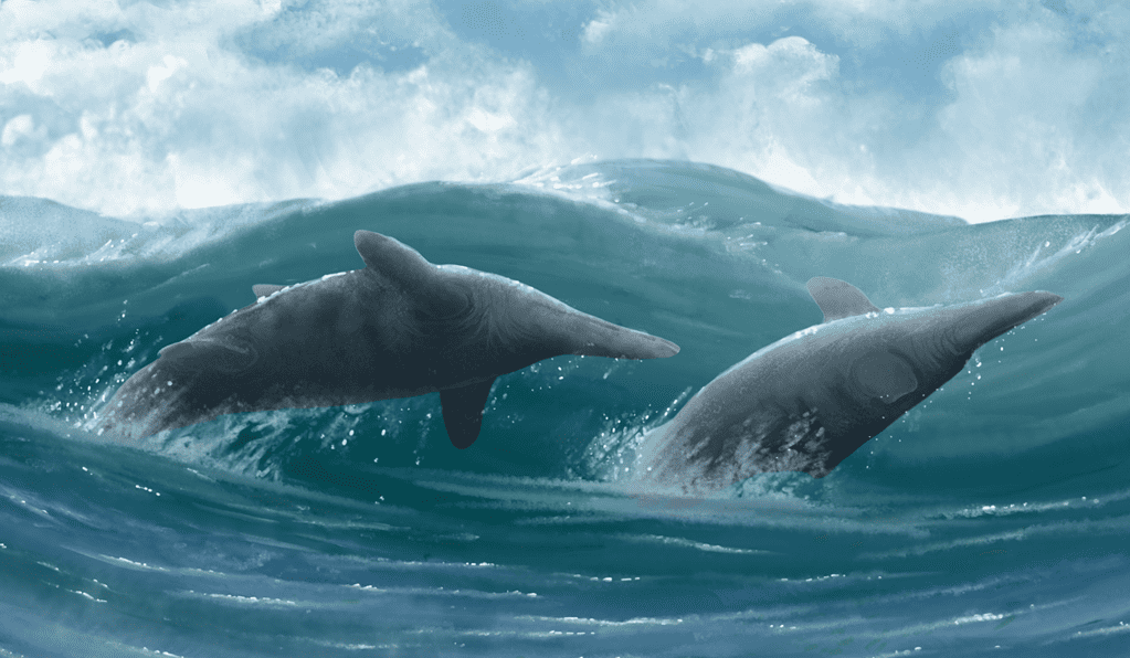 Artist's depiction of two Ichthyosaurus jumping like dolphins