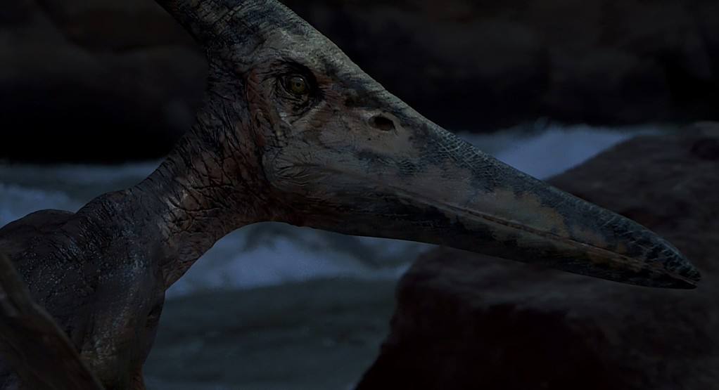 Pteranodon staring back at Alan Grant