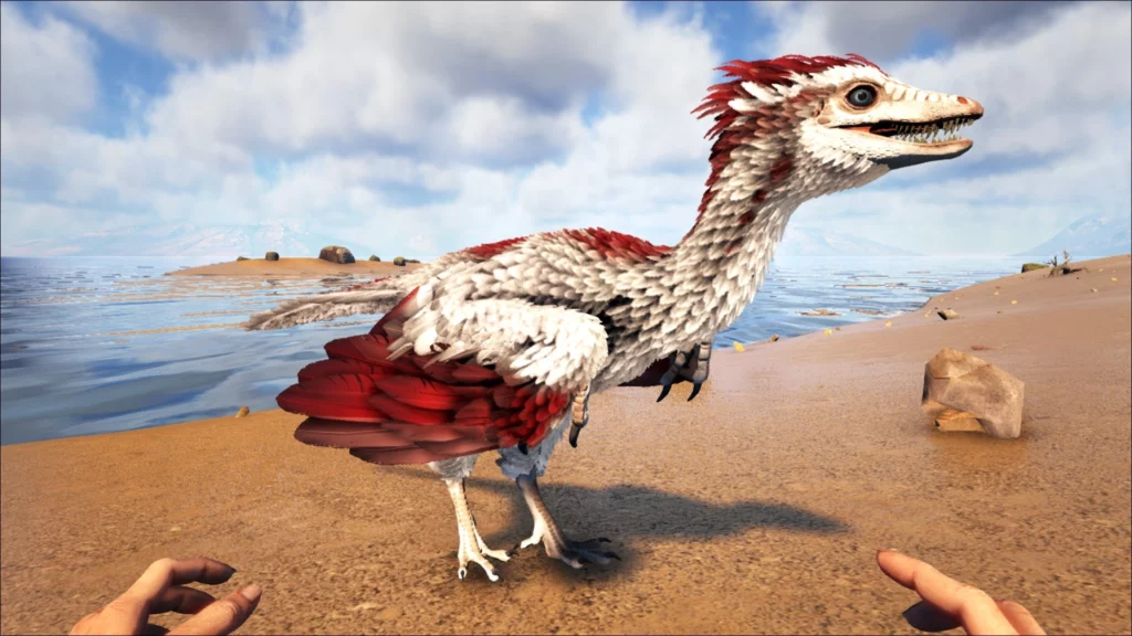 The Ark Archaeopteryx