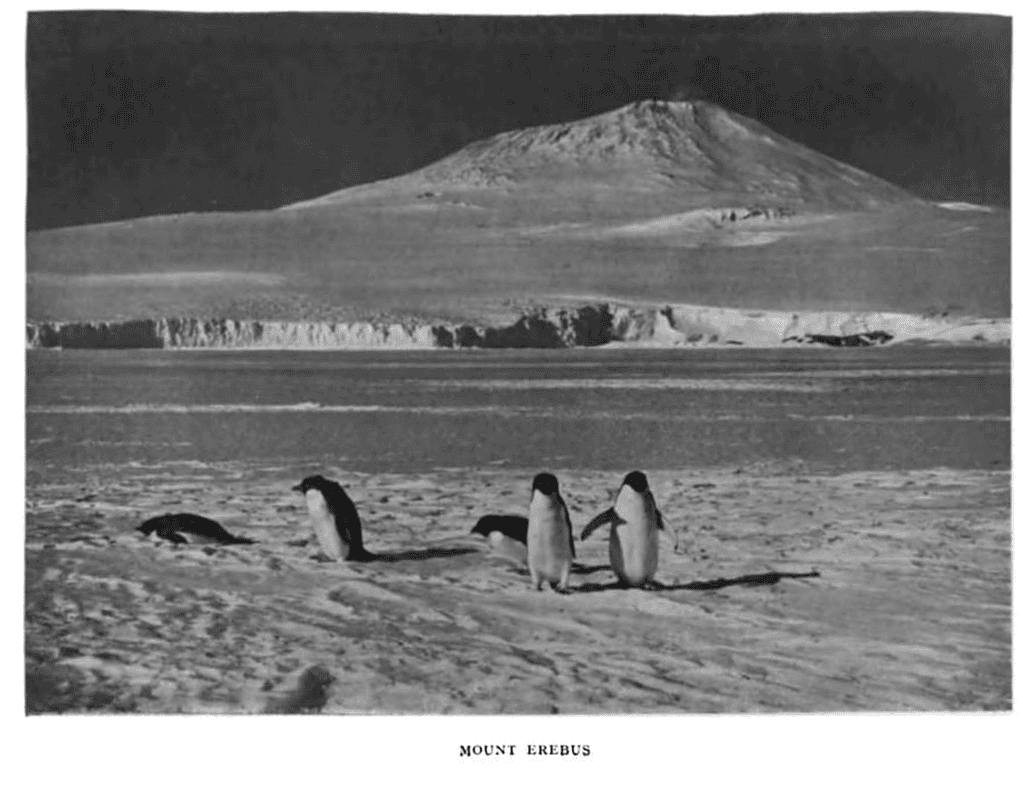 Penguins near Mount Erebus