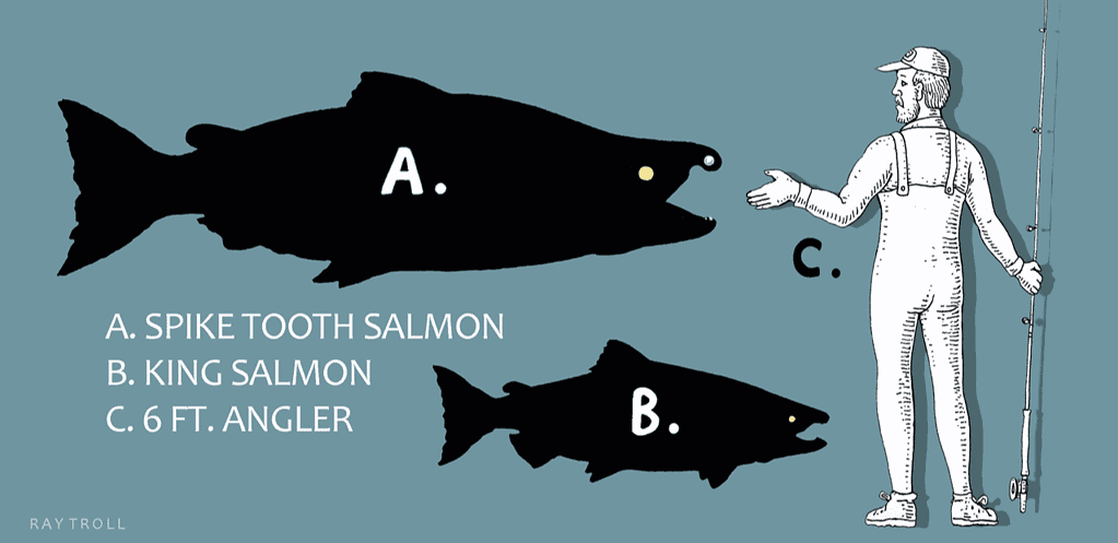 Comparative size of the Spike-Tooth Salmon to the largest living salmon and a 6ft. fisherman