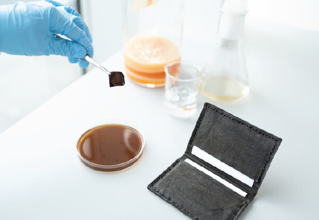 leather wallet made using bacteria