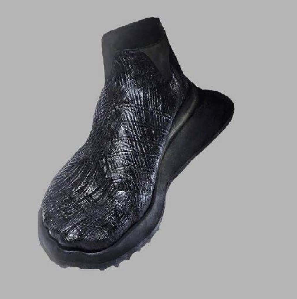 bacteria leather shoe
