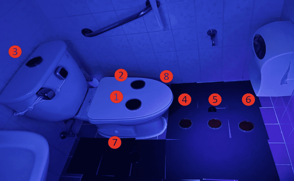 The locations where blood agar plates were placed 1 On the right rim of the toilet seat 2 On the left rim of the toilet seat, 3 On the water tank, 4 15 cm in front of the toilet, 5 30cm in front of the toilet 6 45cm in front of the toilet, 7 On the right side of the toilet, 8 On the left side of the toilet. Credit: Sung-han Kim et al.