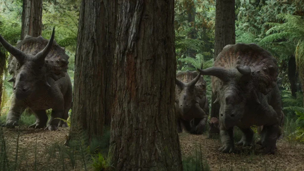 Triceratops herd