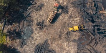 Drone shot of a truck carrying timber from a forest.