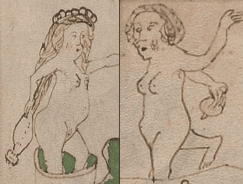 Illustration from the Voynich Manuscript showing naked women manipulating objects