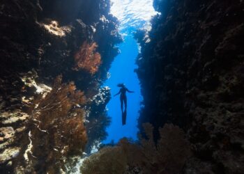 A scuba diver going deep into the sea.